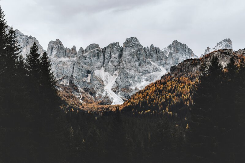Snow-capped Mountains — Gray, Dramatic, Autumn, Photograph, Forests
