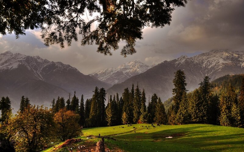 Snow-capped Mountains — Green, Dramatic, Afternoon, Photograph, Trees, Grass Field
