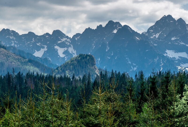 Snow-capped Mountains — Green, Dramatic, Photograph, Forest, Clouds, Mountain Peaks