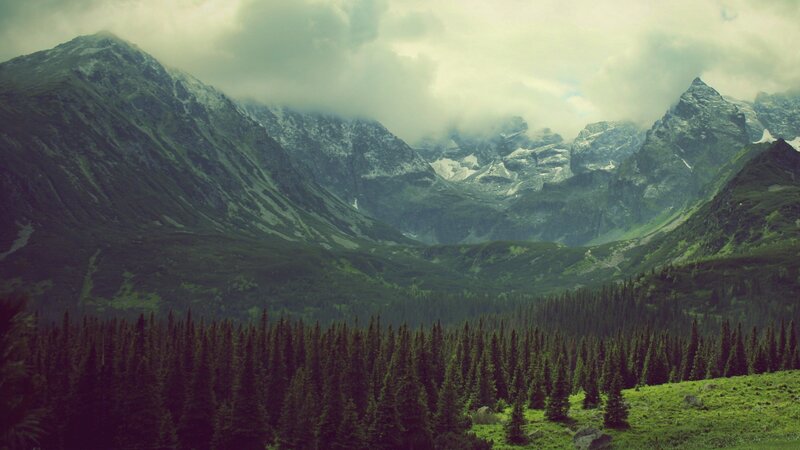 Snow-capped Mountains — Green, Dramatic, Photograph, Forest