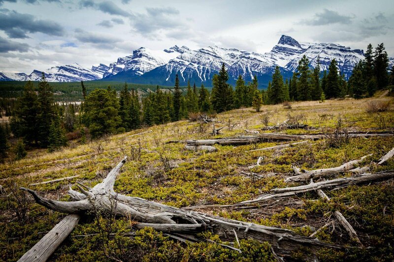 Snow-capped Mountains — Green, Dramatic, Spring, Photograph