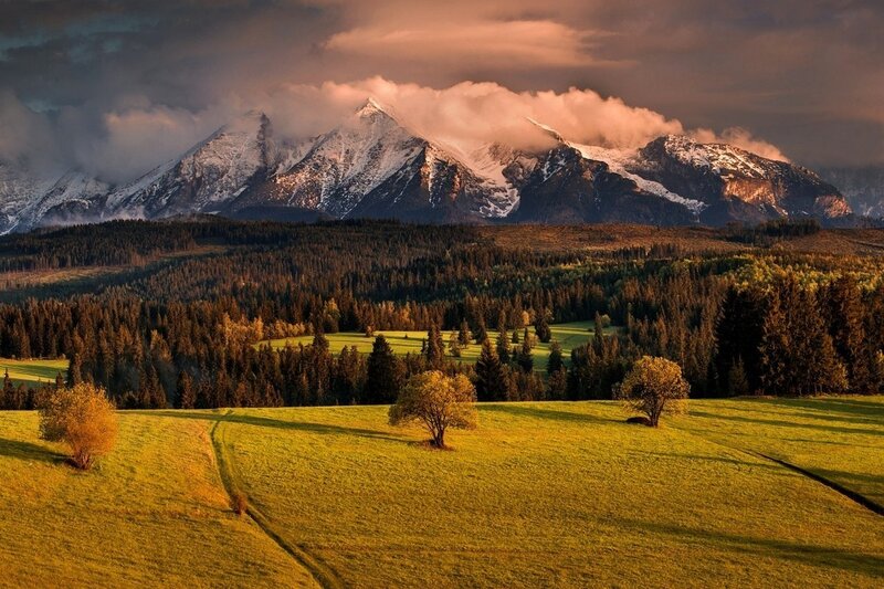 Snow-capped Mountains — Green, Dramatic, Sunset, Photograph, Forests