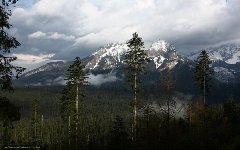 Snow-capped Mountains — Green, Dramatic, Winter