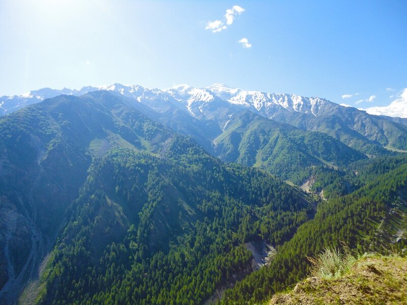 Snow-capped Mountains — Green, Forests