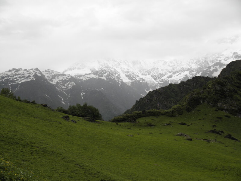 Snow-capped Mountains — Green, Overcast