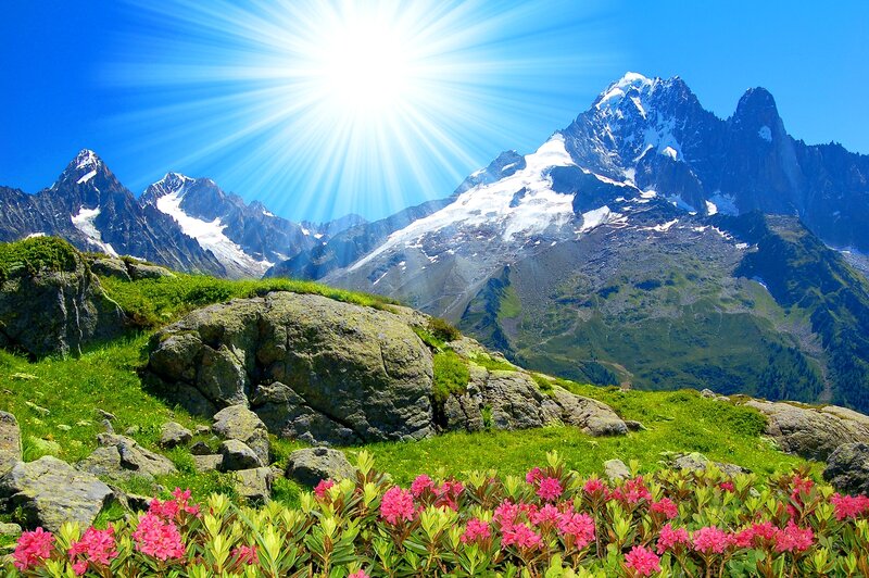 Snow-capped Mountains — Green, Serene, Afternoon, Photograph, Flowers