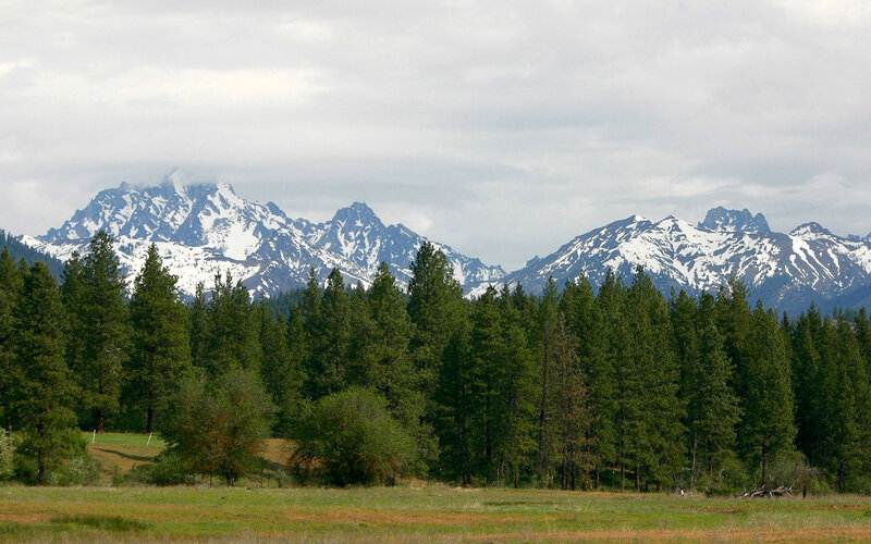 Snow-capped Mountains — Green, Serene, Afternoon, Photograph, Forest, Field, Clouds, White