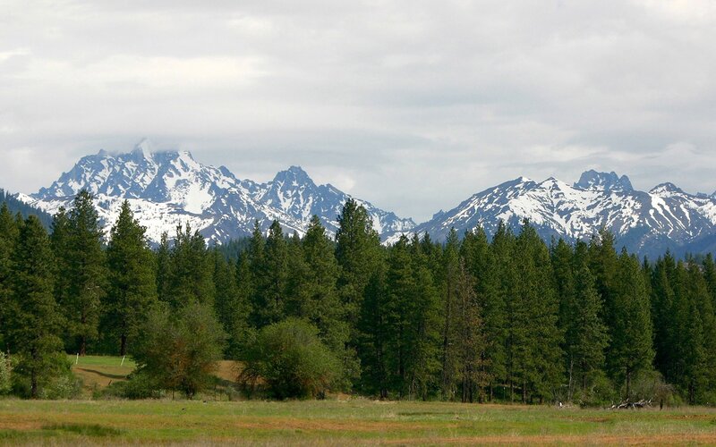 Snow-capped Mountains — Green, Serene, Afternoon, Photograph, Forest, Field
