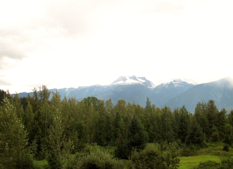 Snow-capped Mountains — Green, Serene, Afternoon, Photograph, Forest, Trees, Sky