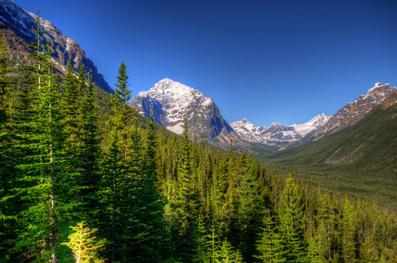 Snow-capped Mountains — Green, Serene, Afternoon, Photograph, Forest, Valley