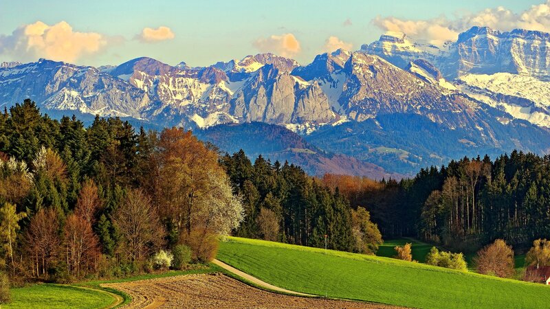 Snow-capped Mountains — Green, Serene, Afternoon, Photograph, Forests, Fields, Clouds, Brown, White