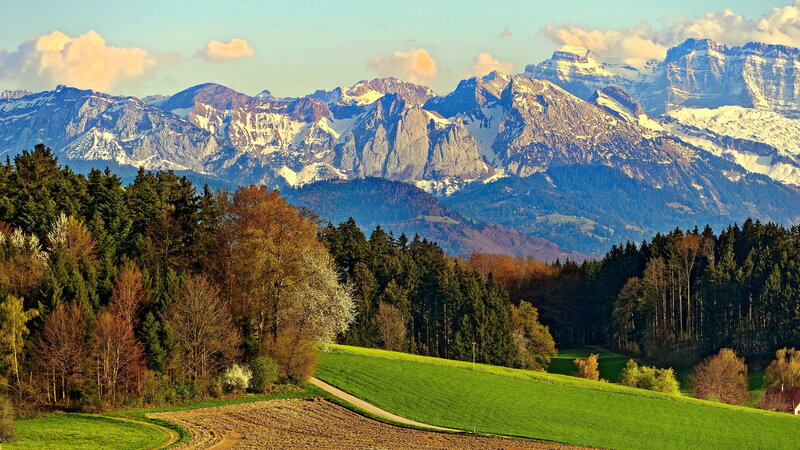 Snow-capped Mountains — Green, Serene, Afternoon, Photograph, Forests, Fields, Clouds