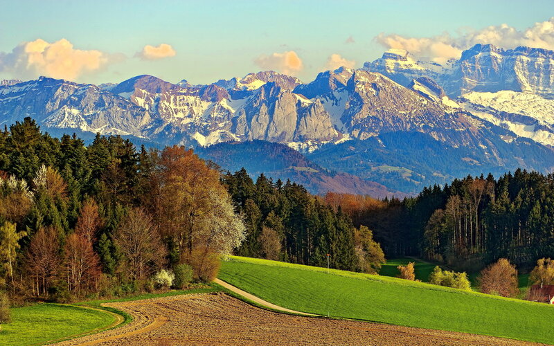 Snow-capped Mountains — Green, Serene, Afternoon, Photograph, Forests, Fields, Path