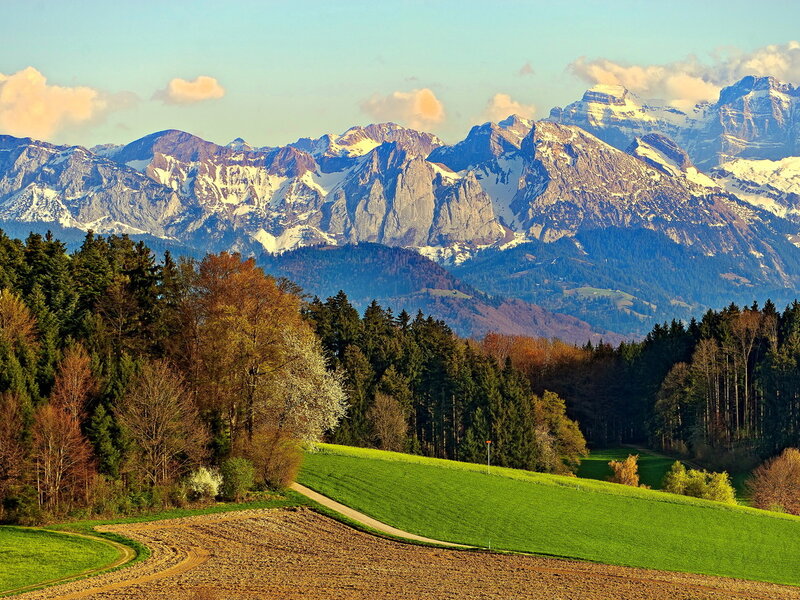 Snow-capped Mountains — Green, Serene, Afternoon, Photograph, Forests, Fields