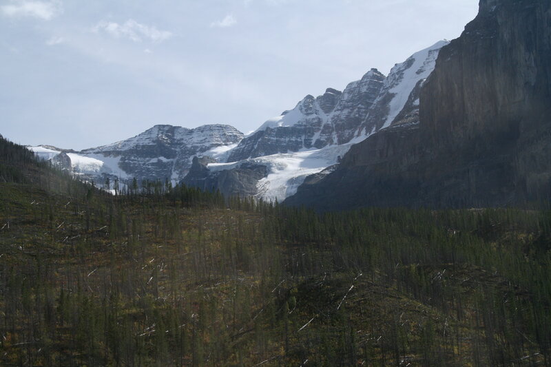 Snow-capped Mountains — Green, Serene, Afternoon, Photograph, Forests, Glaciers