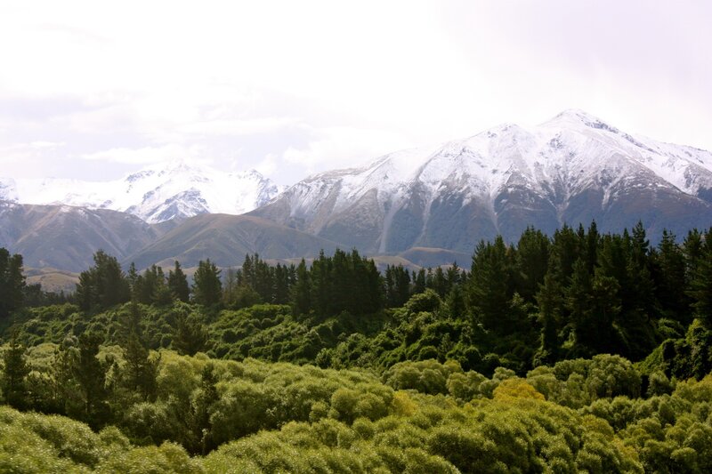 Snow-capped Mountains — Green, Serene, Afternoon, Photograph, Forests, Hills