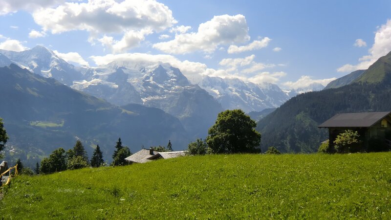 Snow-capped Mountains — Green, Serene, Afternoon, Photograph, Grass Field, Trees