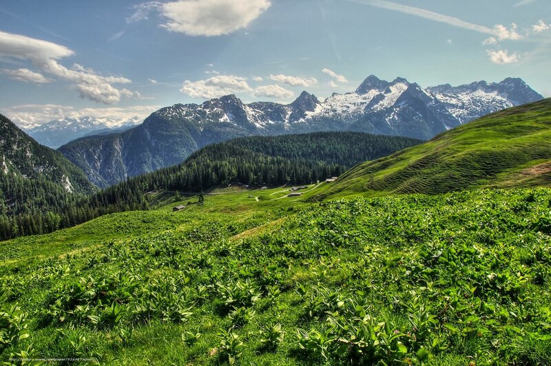 Snow-capped Mountains — Green, Serene, Afternoon, Photograph, Green Hills, Forests