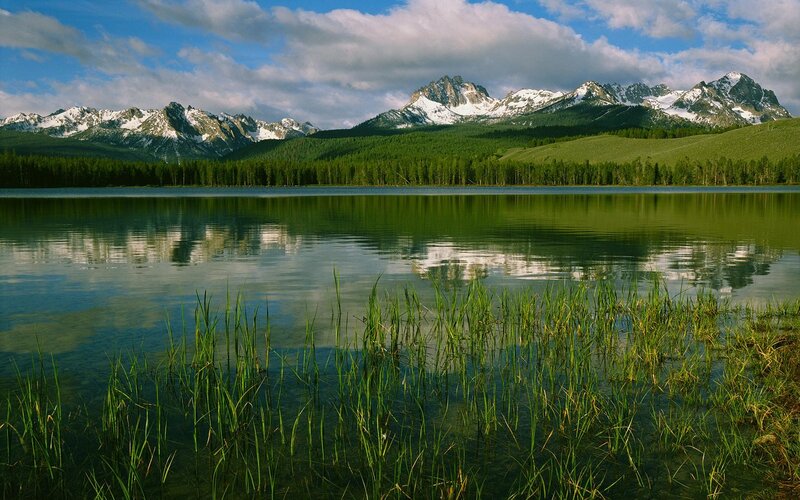 Snow-capped Mountains — Green, Serene, Afternoon, Photograph, Lake, Forest