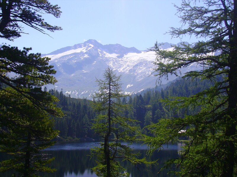 Snow-capped Mountains — Green, Serene, Afternoon, Photograph, Lake, Trees
