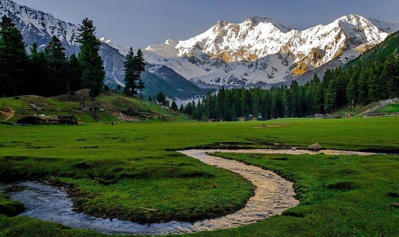 Snow-capped Mountains — Green, Serene, Afternoon, Photograph, River, Forest, Grassland