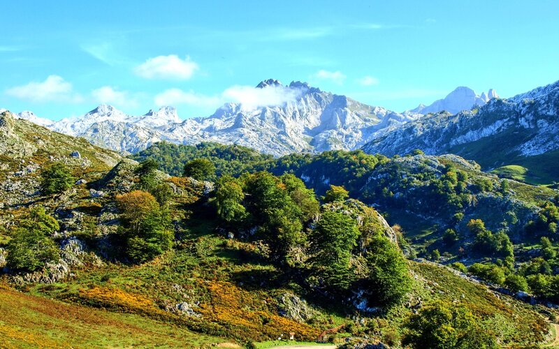 Snow-capped Mountains — Green, Serene, Afternoon, Photograph, Trees, Hills