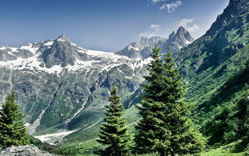 Snow-capped Mountains — Green, Serene, Afternoon, Photograph, Trees, Valley, Glacier