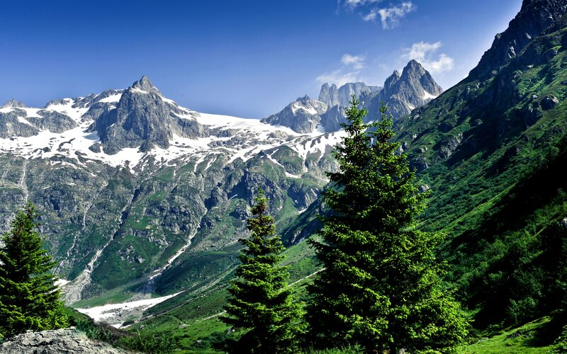 Snow-capped Mountains — Green, Serene, Afternoon, Photograph, Trees, Valley, Sky