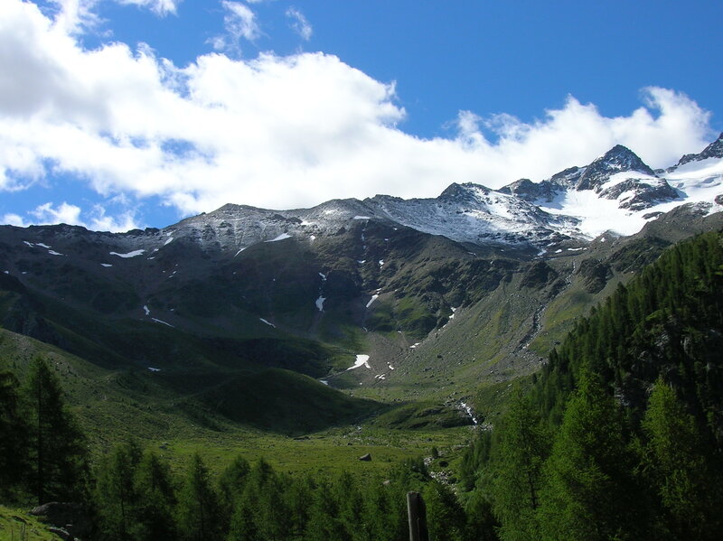 Snow-capped Mountains — Green, Serene, Afternoon, Photograph, Trees, Valley