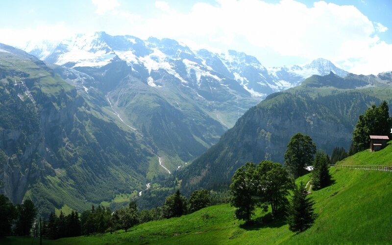 Snow-capped Mountains — Green, Serene, Afternoon, Photograph, Valley, Trees