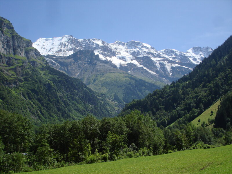 Snow-capped Mountains — Green, Serene, Afternoon