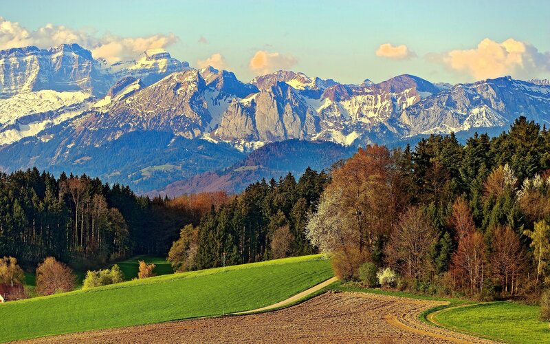 Snow-capped Mountains — Green, Serene, Autumn, Photograph, Forests, Fields