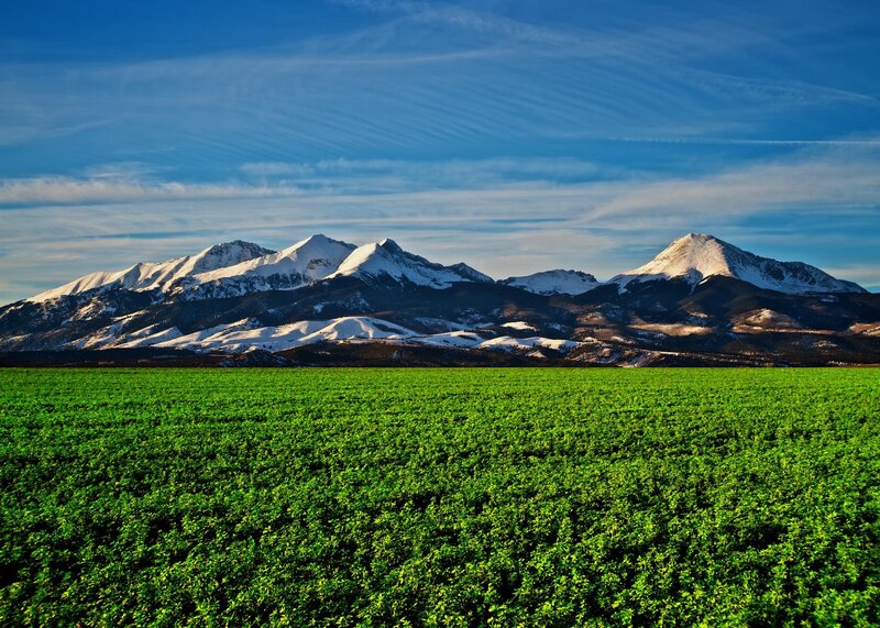 Snow-capped Mountains — Green, Serene, Morning, Photograph, Field