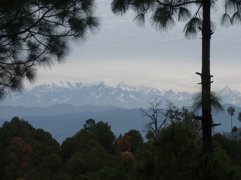 Snow-capped Mountains — Green, Serene, Morning, Photograph, Pine Trees