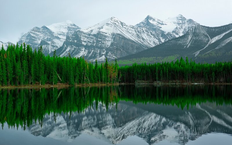 Snow-capped Mountains — Green, Serene, Photograph, Forest