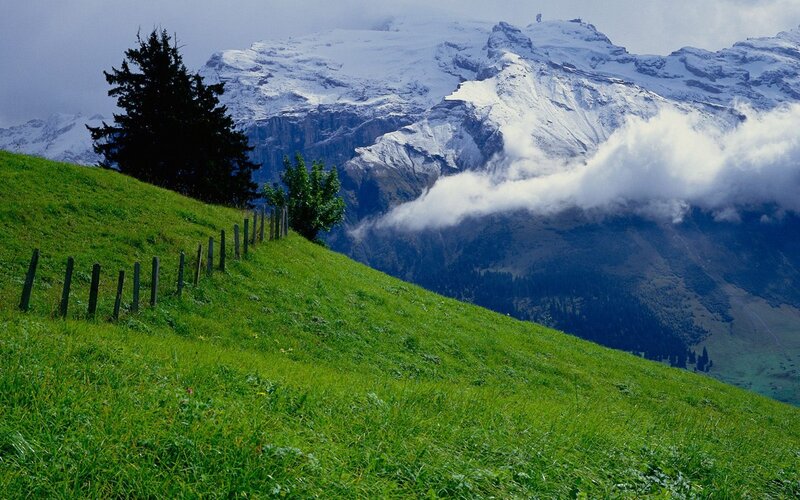 Snow-capped Mountains — Green, Serene, Photograph, Green Hill, Trees