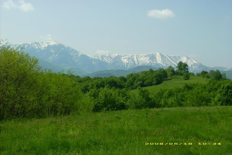 Snow-capped Mountains — Green, Serene, Spring