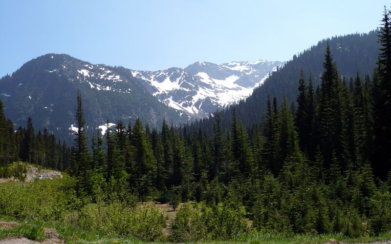 Snow-capped Mountains — Green, Serene, Summer, Photograph, Forests, Trees