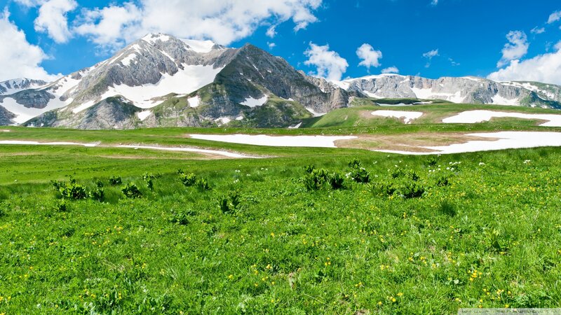 Snow-capped Mountains — Green, Serene, Summer, Photograph, Grass, Flowers