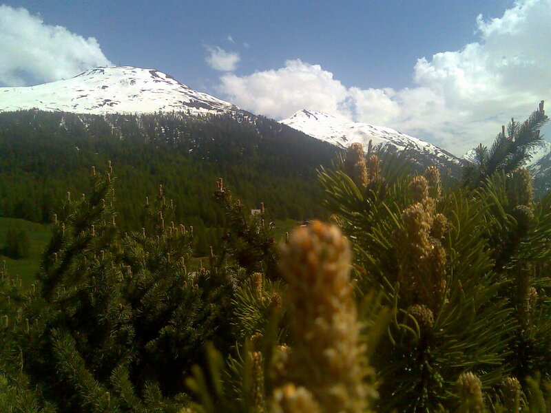 Snow-capped Mountains — Green, Serene, Summer, Photograph, Pine Trees, Clouds