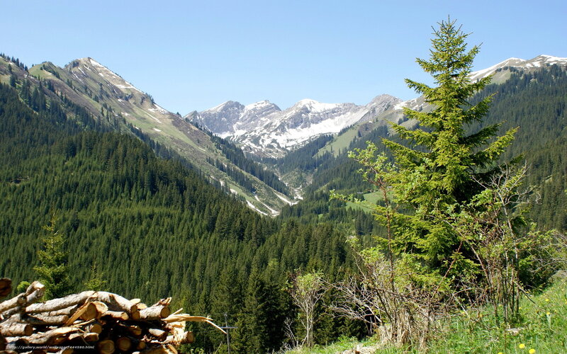 Snow-capped Mountains — Green, Serene, Summer, Photograph, Pine Trees
