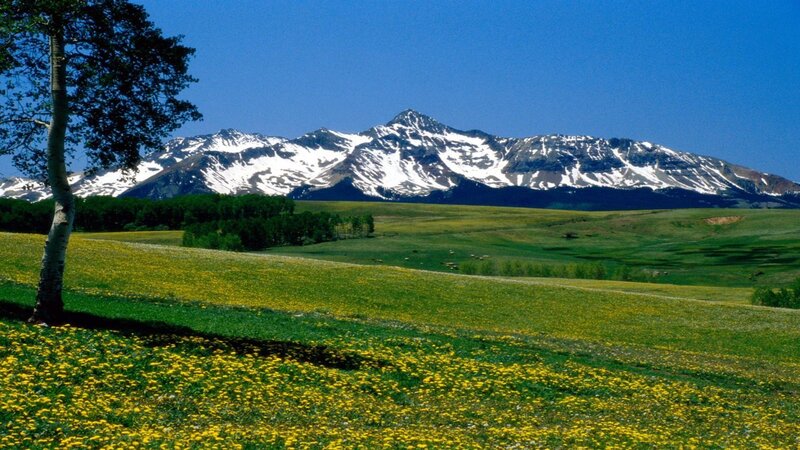 Snow-capped Mountains — Green, Serene, Summer, Photograph, Tree
