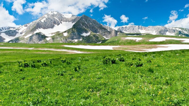 Snow-capped Mountains — Green, Serene, Summer