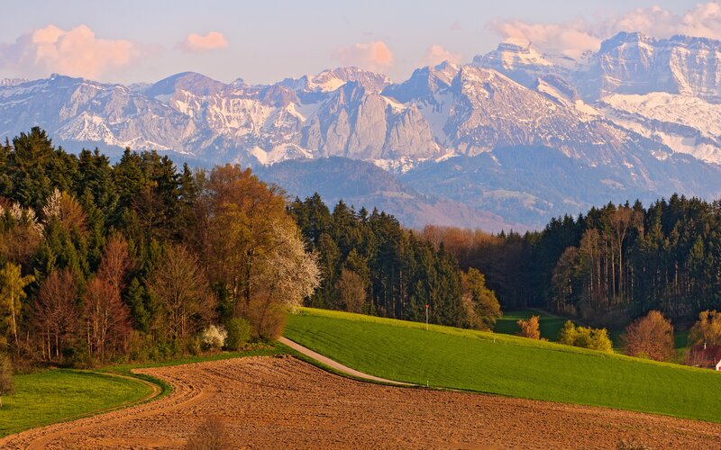 Snow-capped Mountains — Green, Serene, Sunset, Photograph, Forests