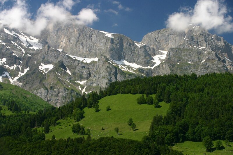 Snow-capped Mountains — Green