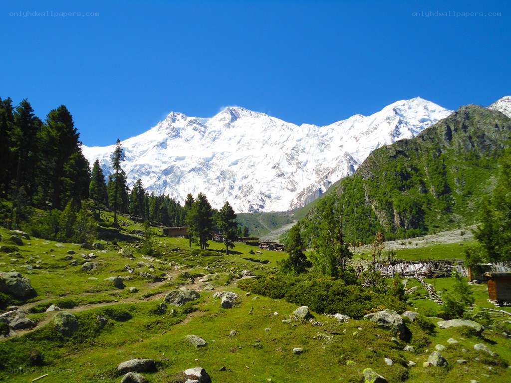 Snow-capped mountains in a green valley