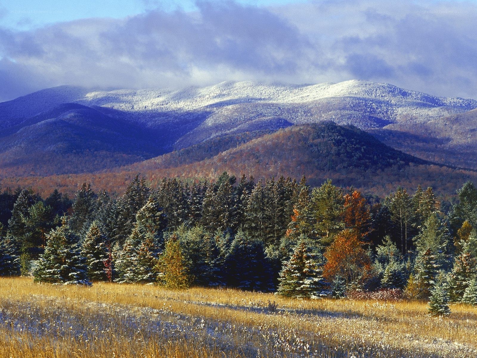 Snow-Capped Mountains in Autumn