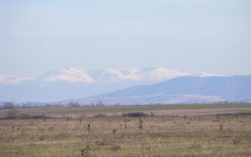 snow-capped mountains in distance