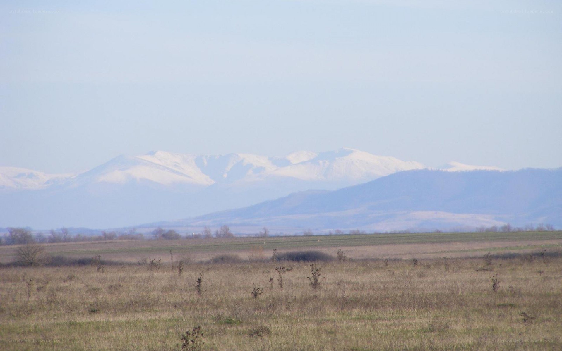 snow-capped mountains in distance