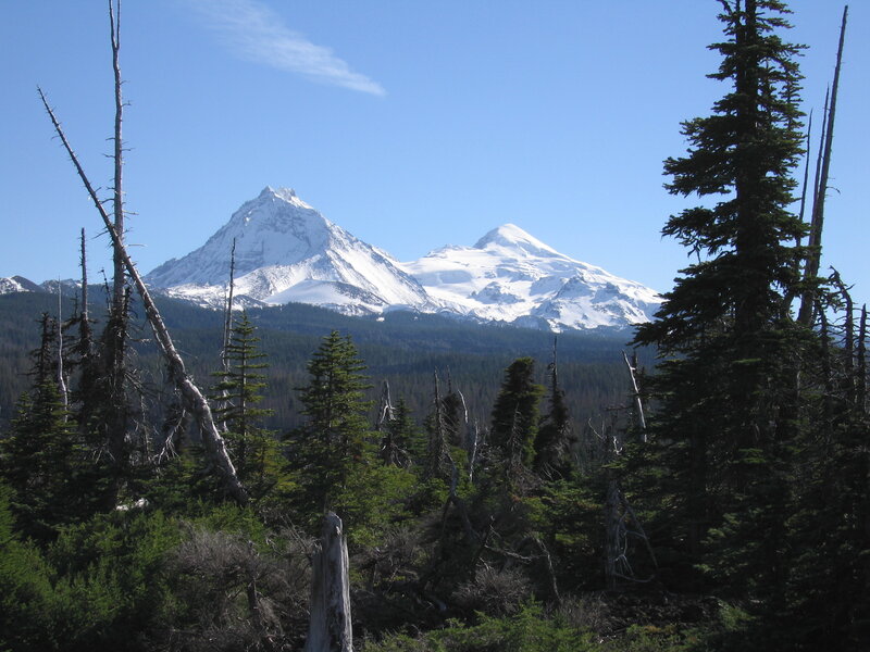 Snow-capped mountains in forest